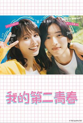 顾此失彼海报剧照